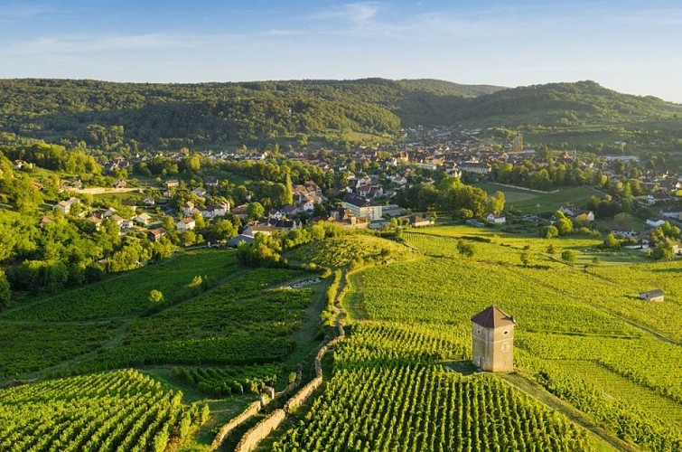 Ville d'Arbois, capitale des Vins du Jura