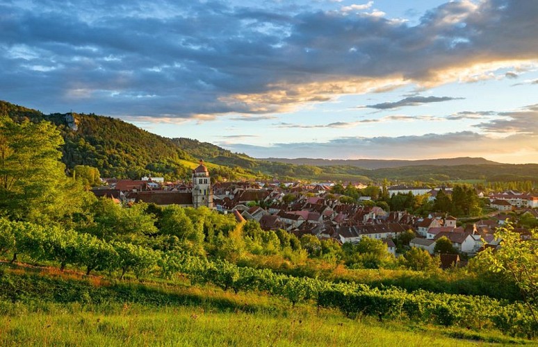 Ville de Poligny, Capitale du Comté