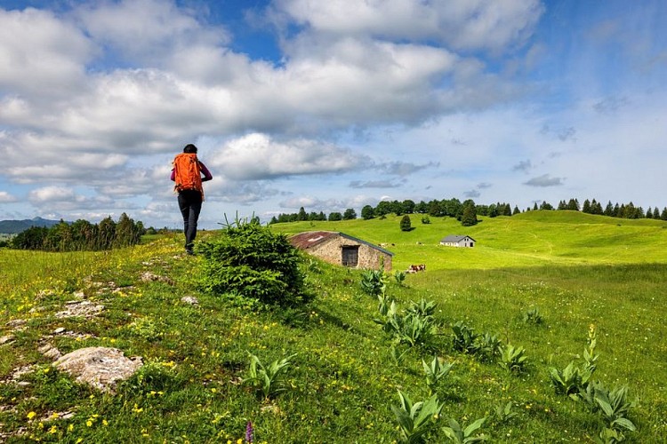 Randonnée aux Molunes