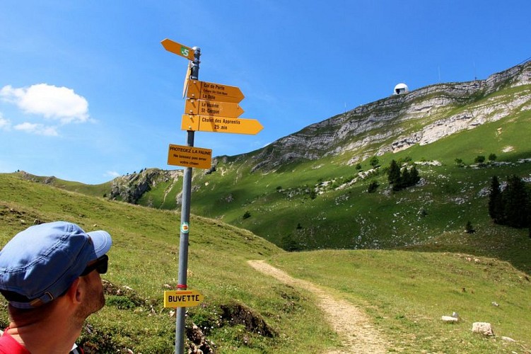 Randonneur sur la Dôle