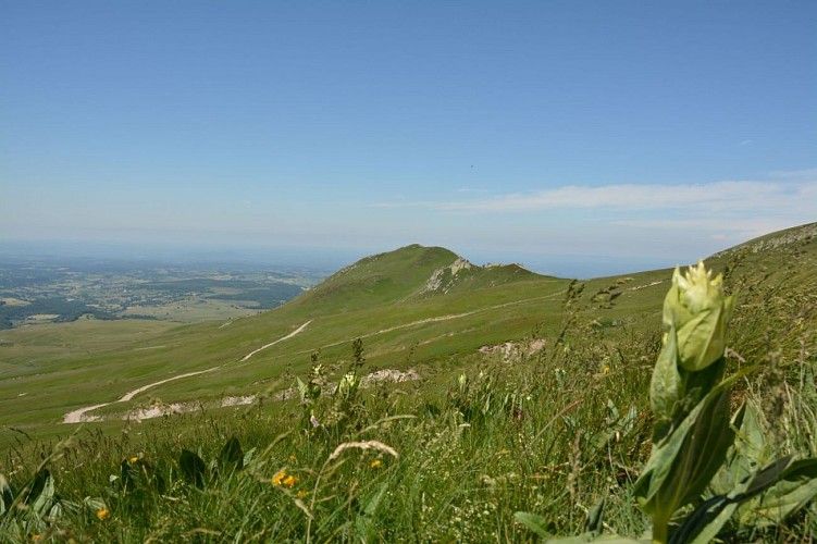 Les Crêtes du Sancy