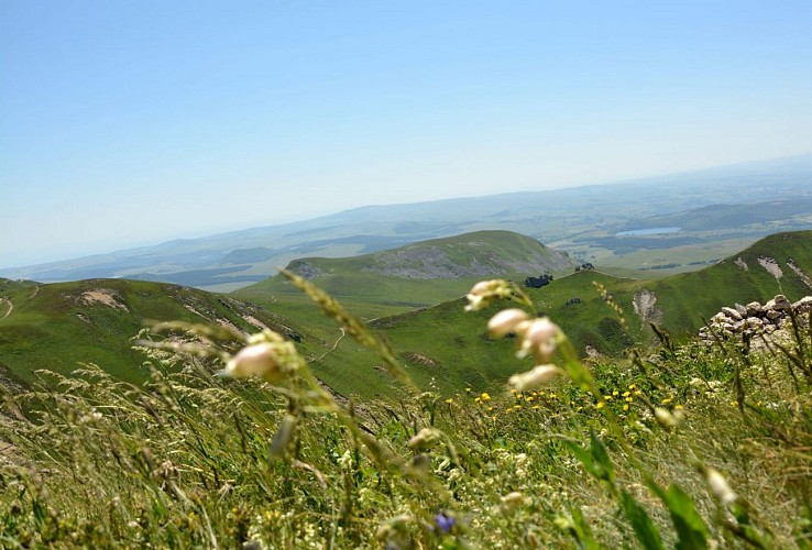 Les Crêtes du Sancy