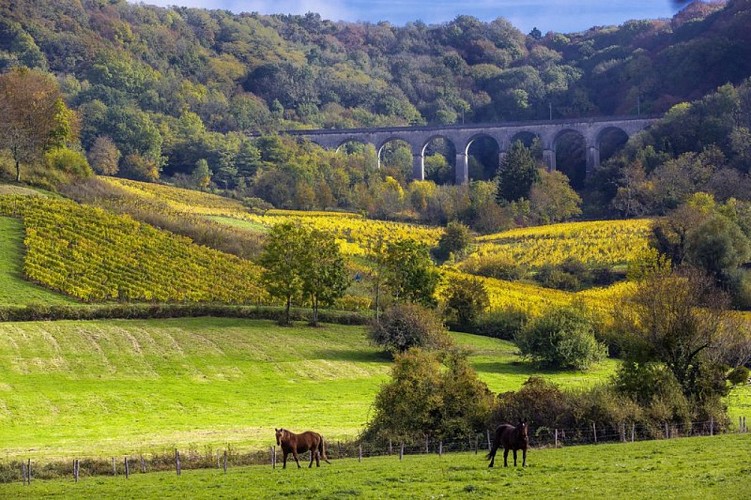 Viaduc de Montigny-les-Arsures