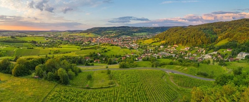 Vigne et ville d'Arbois - vue drone