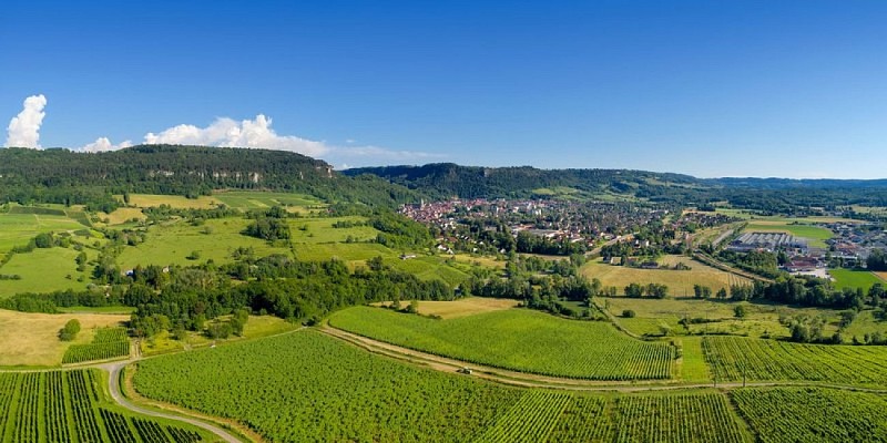 Ville de Poligny, Capitale du Comté