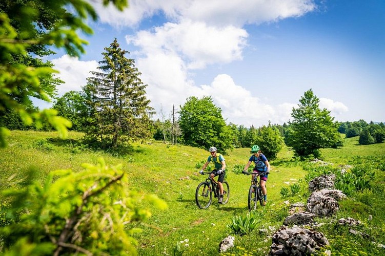 Vététistes dans le Haut-Jura