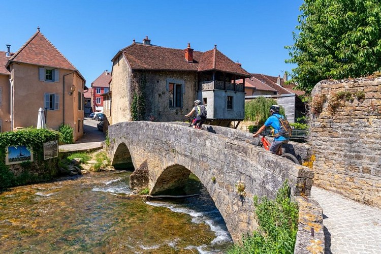 Vététistes à Arbois