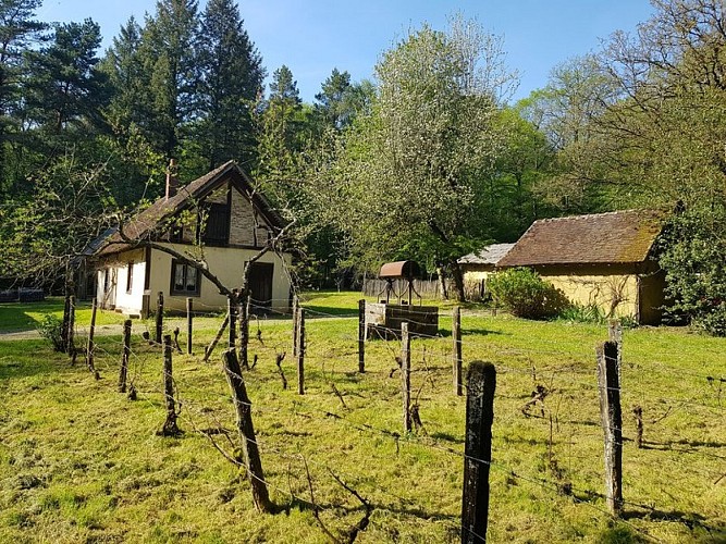 Forêt de Chaux - Baraque du 14