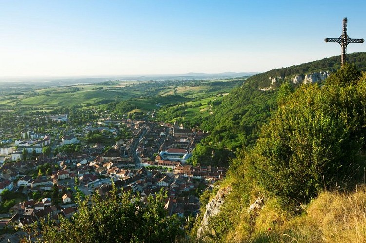 Poligny depuis la croix du Dan