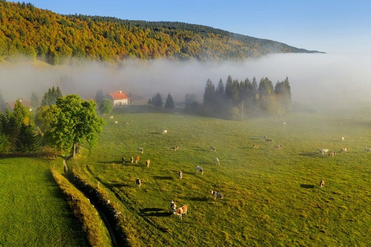 Ferme à la Station des Rousses