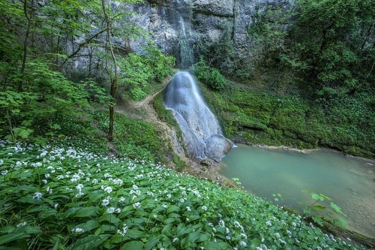 Cascade de la Quinquenouille au printemps