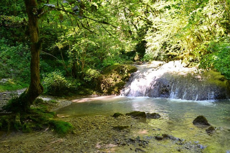 Rivière du Dard à la Quinquenouille