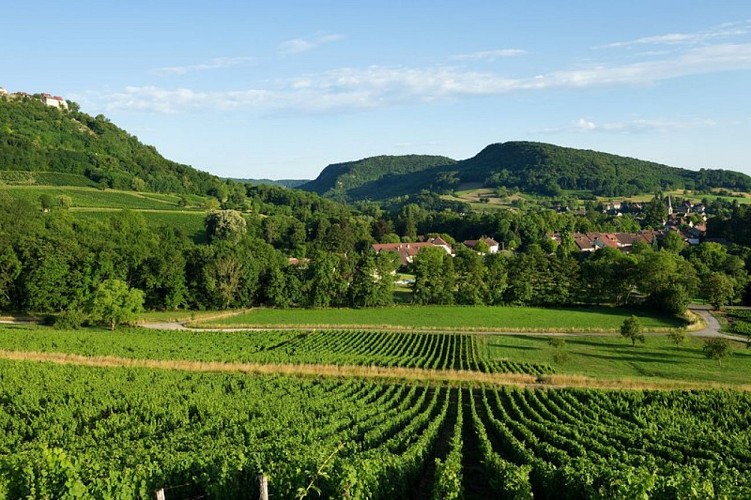 Château-Chalon depuis les vignes de Voiteur