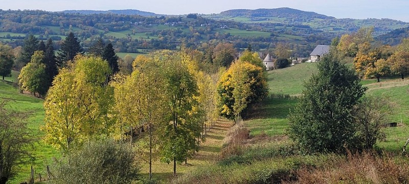 Vue sur le château de Polagnat