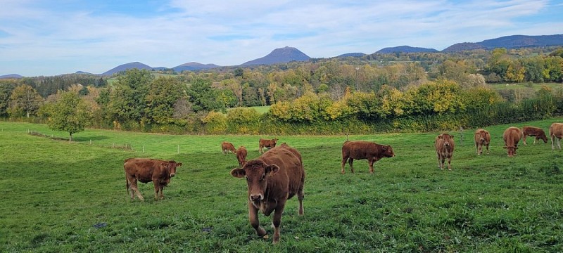 Puy de Dôme