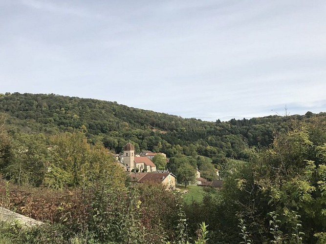 Vue_du_village_de_Montagna-le-Reconduit_(Jura,_France)