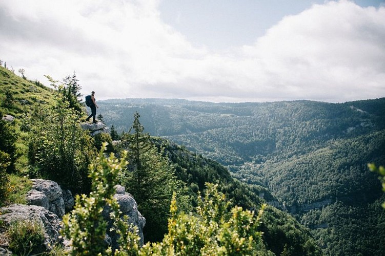 Belvédère sur les Grès