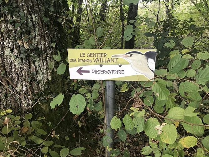 Sentier des Etangs Vaillant