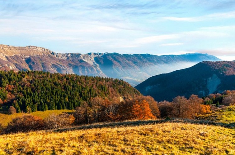 Vue depuis la Borne aux Lions - La Pesse