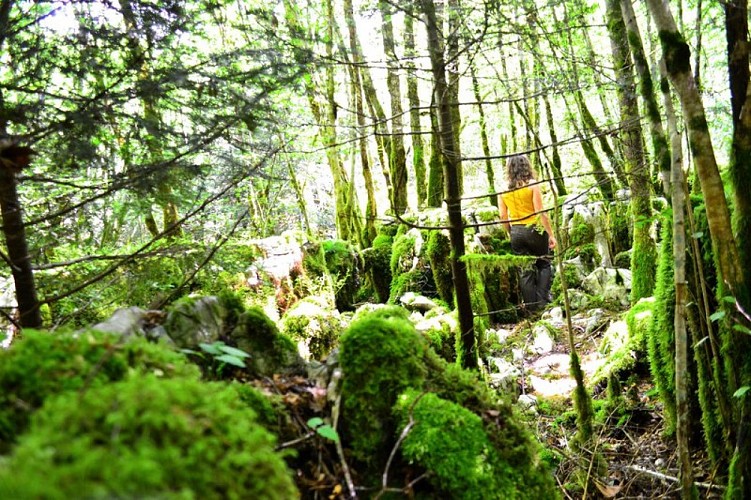 Sentier karstique des Malrochers