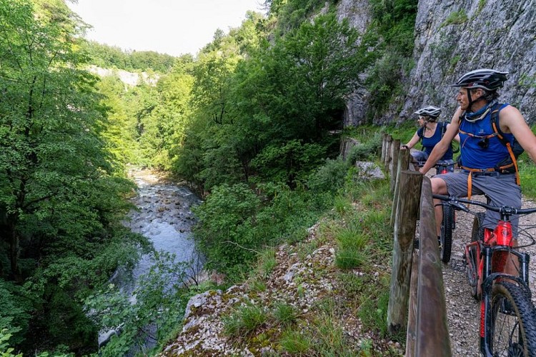 Vététistes dans les gorges de la Saine