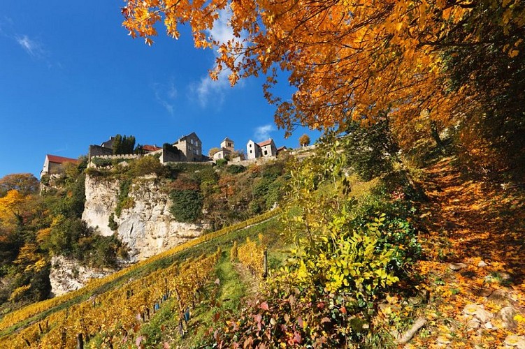 Sentier autour de Château-Chalon