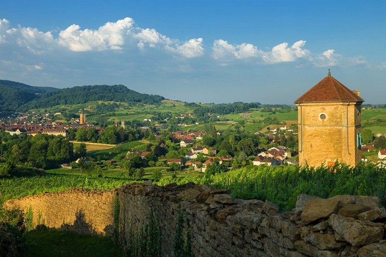 Ville d'Arbois, capitale des Vins du Jura