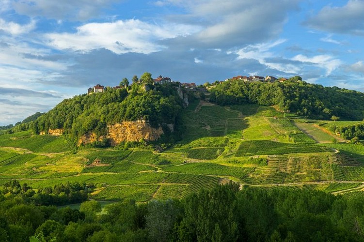 Château-Chalon depuis les vignes de Voiteur