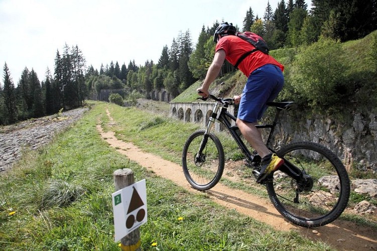 VTT au Fort des Rousses