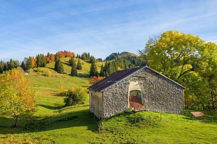 Les Hautes-Combes en automne