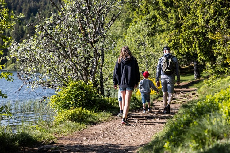 Balade autour du lac Servières