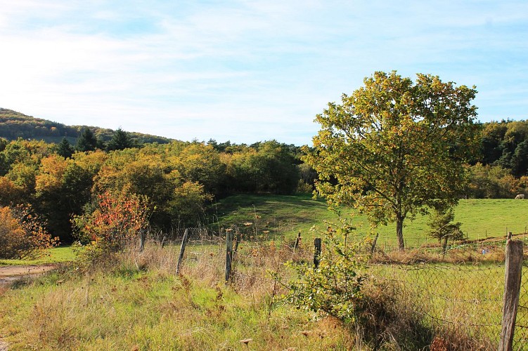 Sur le chemin du puy de Ceveloux