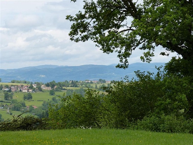 LA RONDE DES FRUITS (1)
