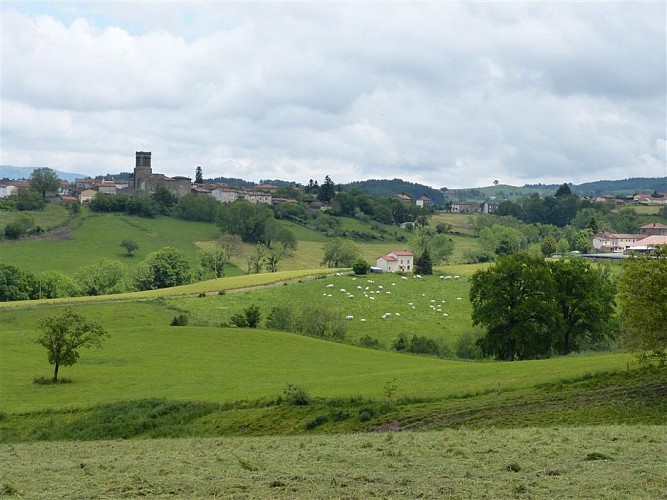 LA RONDE DES FRUITS (4)