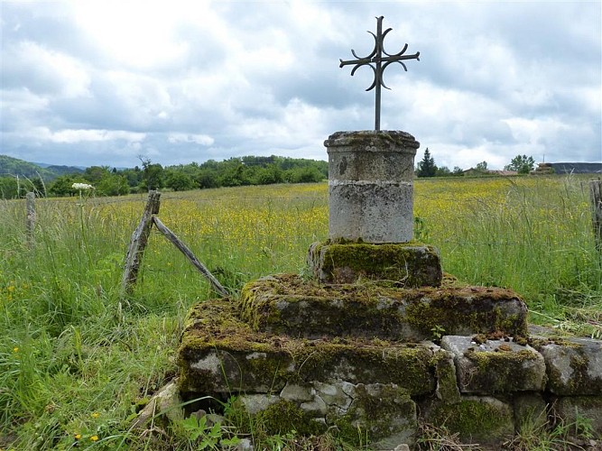 LA RONDE DES FRUITS (2)