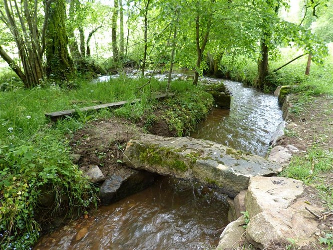 LA RONDE DES FRUITS (3)