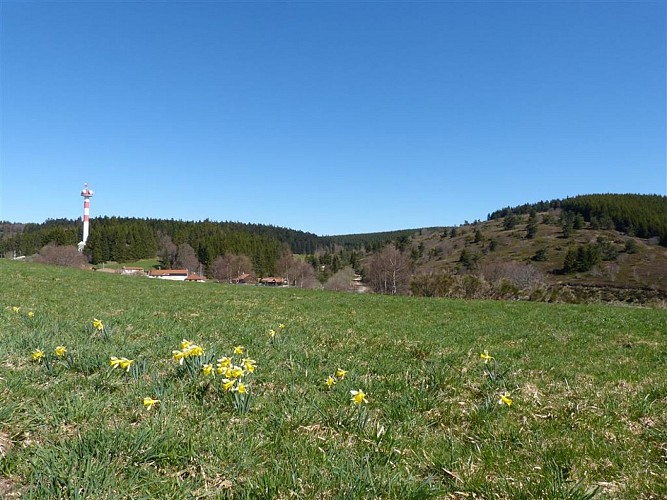 LE COL DES PRADEAUX (4)