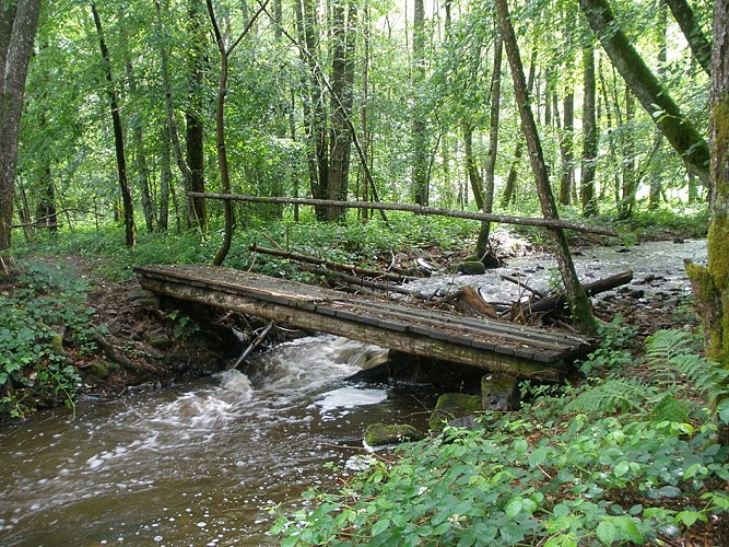 ITI0286-MONTBOISSIER-A6313AUV063V5084MZ