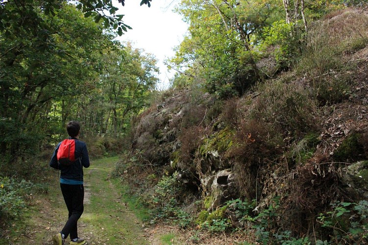 Le Plan d'eau_Lapeyrouse