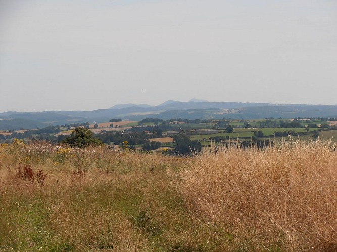 Randonnée Ruisseau de Bort