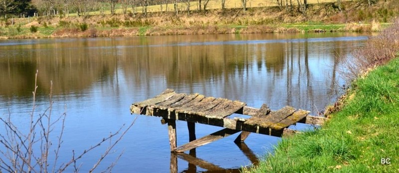 Étang du Vernet_La Celle