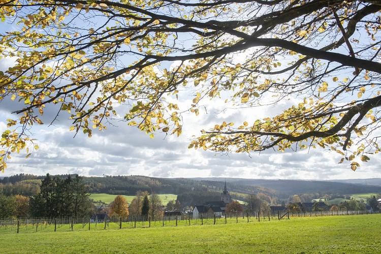 Petit_bois_des_legendes©dbcreation-MTFSH_(11)