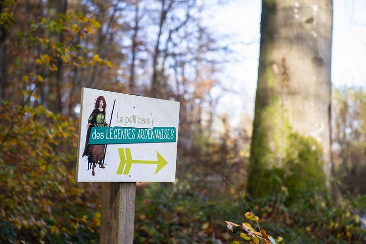 Petit_bois_des_legendes©dbcreation-MTFSH_(1)