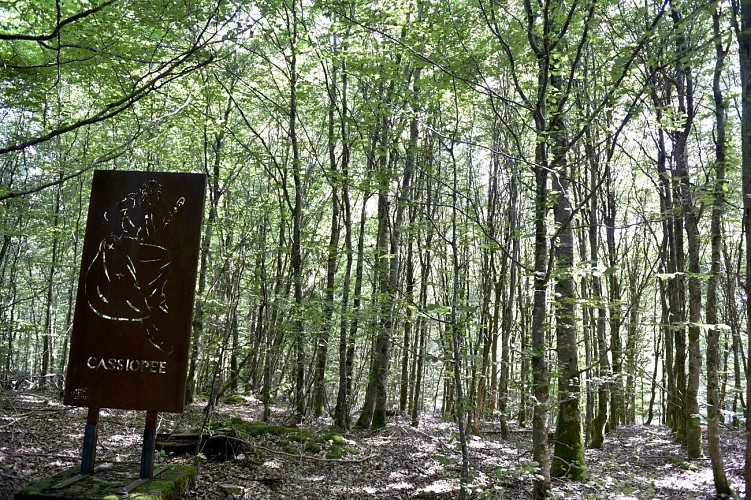 Promenade-les-vois-dantan©MTFSH TEXTO Pascal Willems (46)