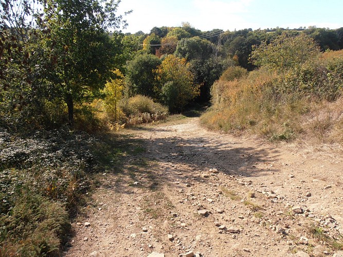 Randonnée La source de Charponne