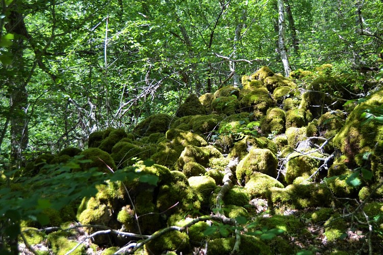 la Cheire de Pontgibaud