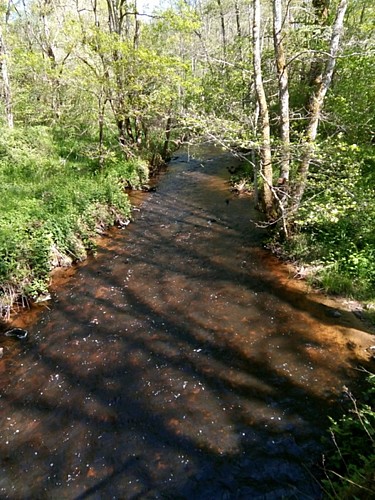 Ruisseau du Tyx
