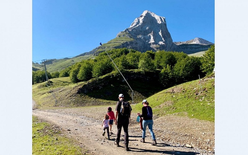 1440 marmottes et edelweiss