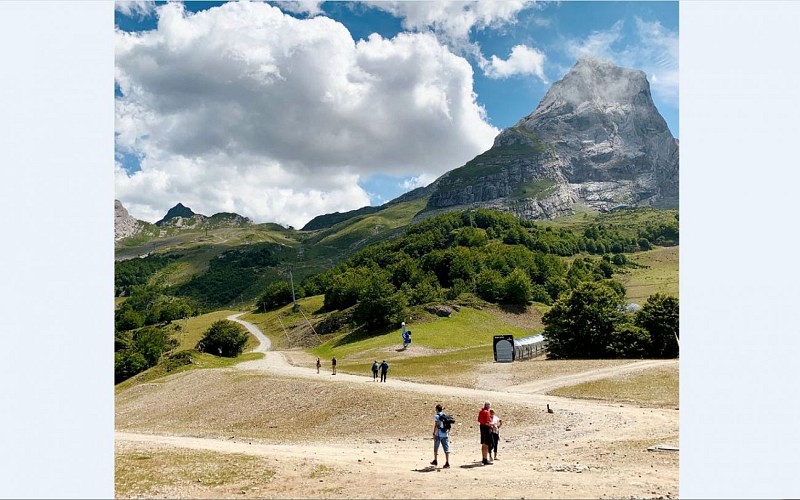 1440 marmottes et edelweiss