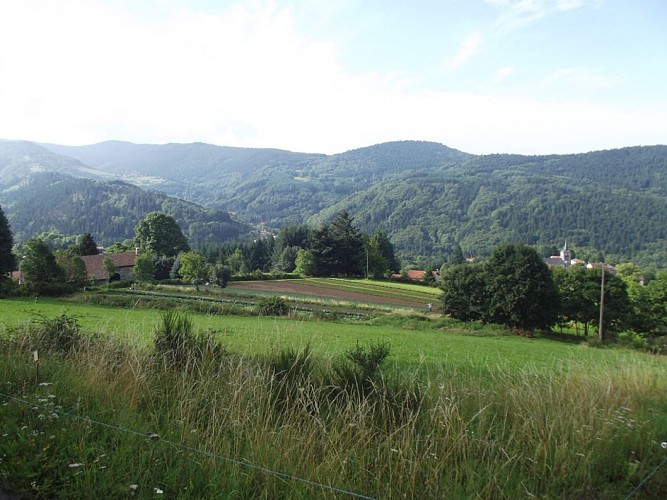 ITI0251-LA-VALLEE-DE-BILLEYRE-A6313AUV063V502ZPW